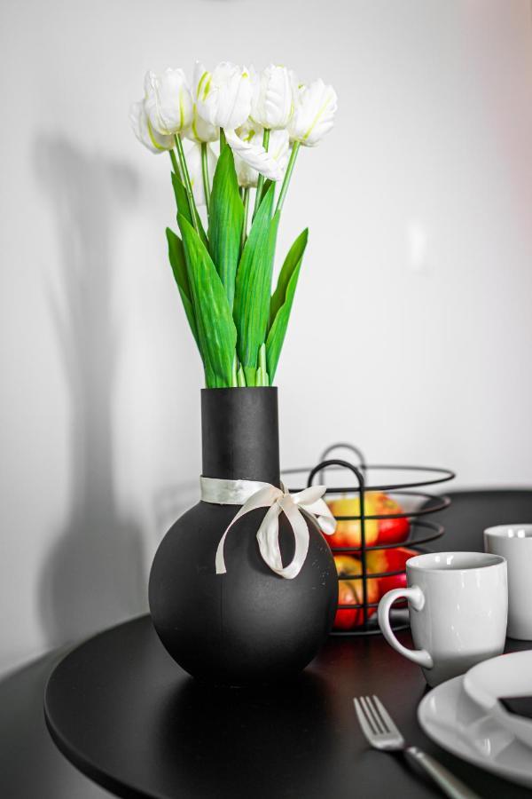 Apartament Piaskowe Tarasy Apartament Czeladź Zewnętrze zdjęcie